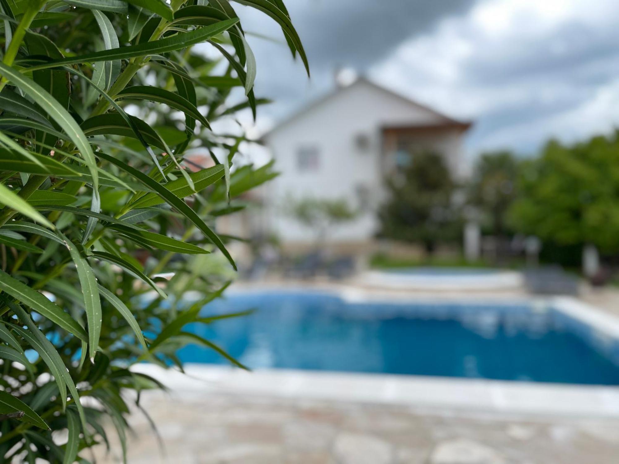 Sunny Apartment With Swimming Pool Stolac 外观 照片