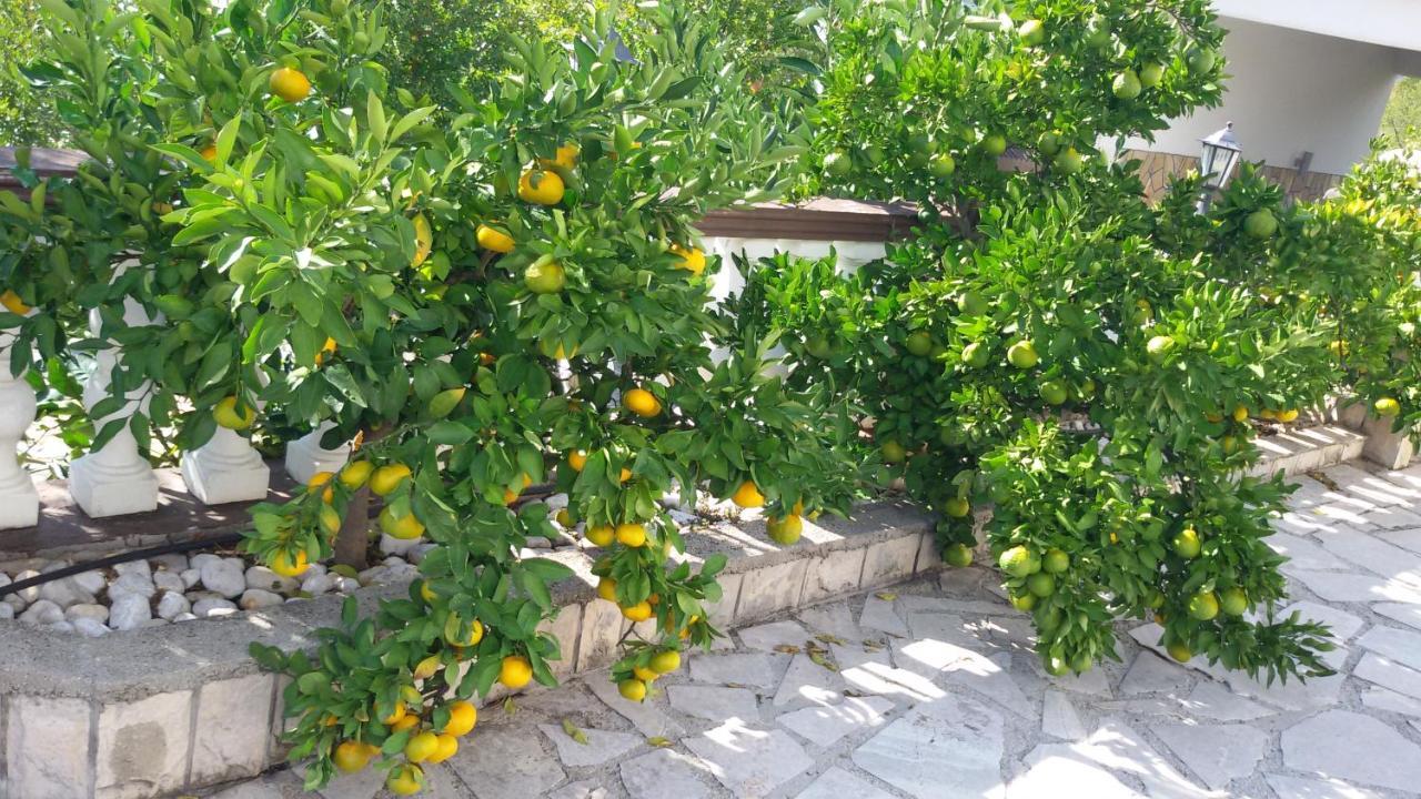 Sunny Apartment With Swimming Pool Stolac 外观 照片